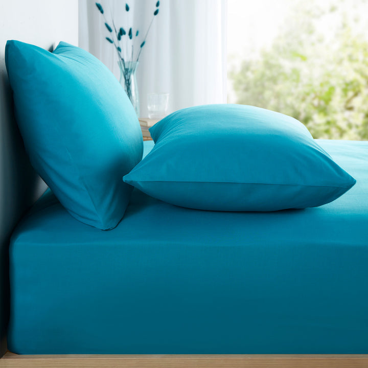 Appletree Pure Cotton 28cm Fitted Bed Sheet by Appletree Style in Teal - 28cm Fitted Bed Sheet - Appletree Style